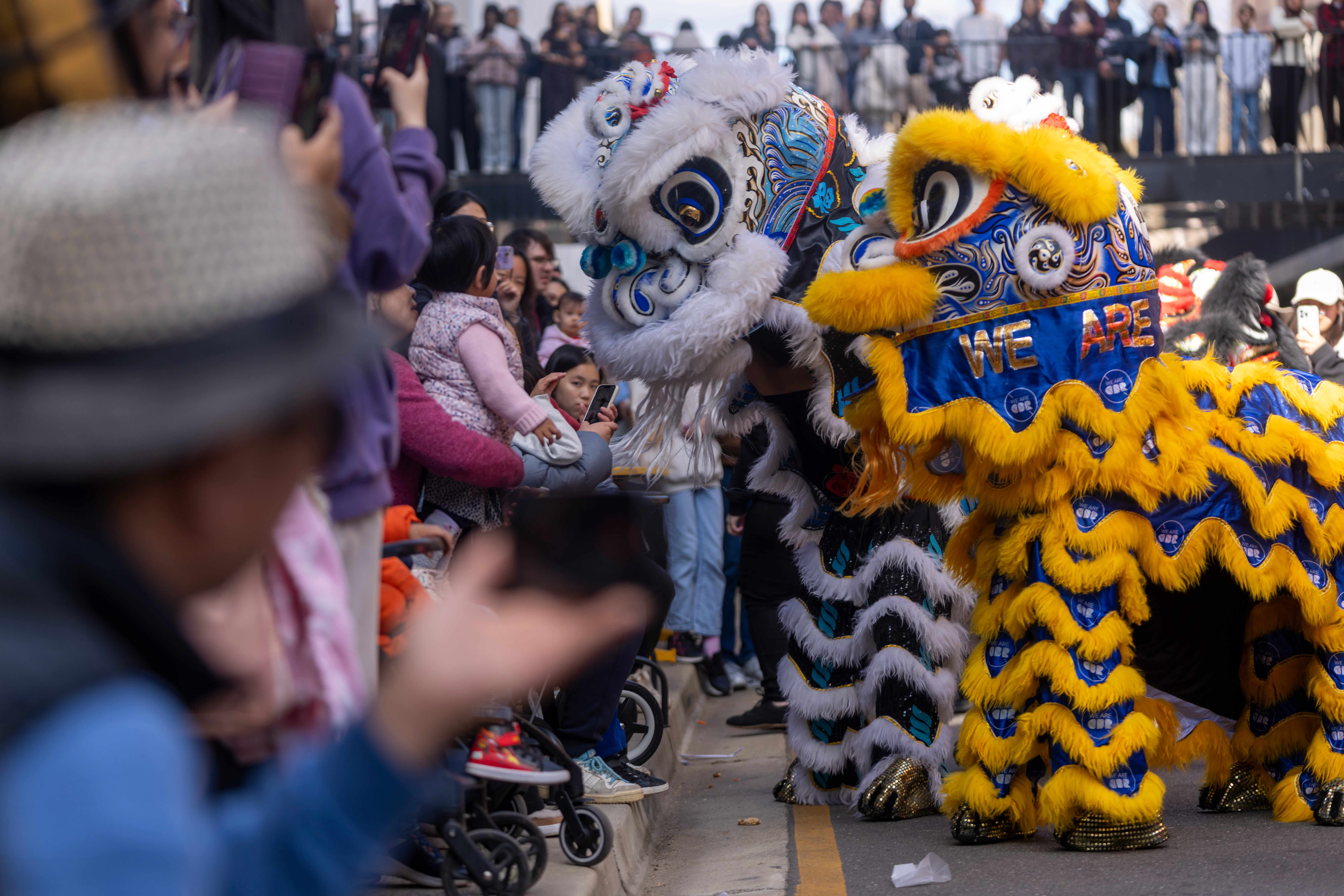 Chinese New Year Dance Performance