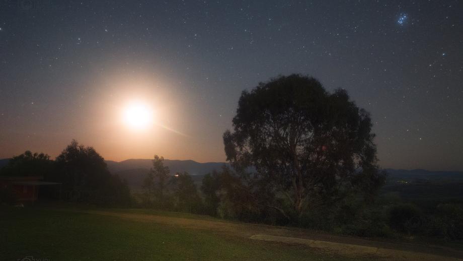 The Full Moon behind trees at Mt Stromlo Observatory