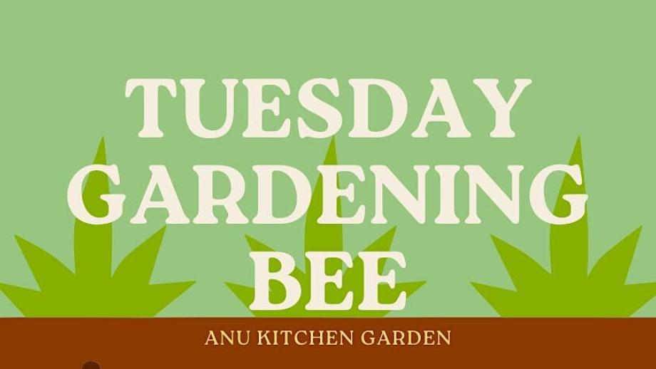 Tuesday Gardening Bees
