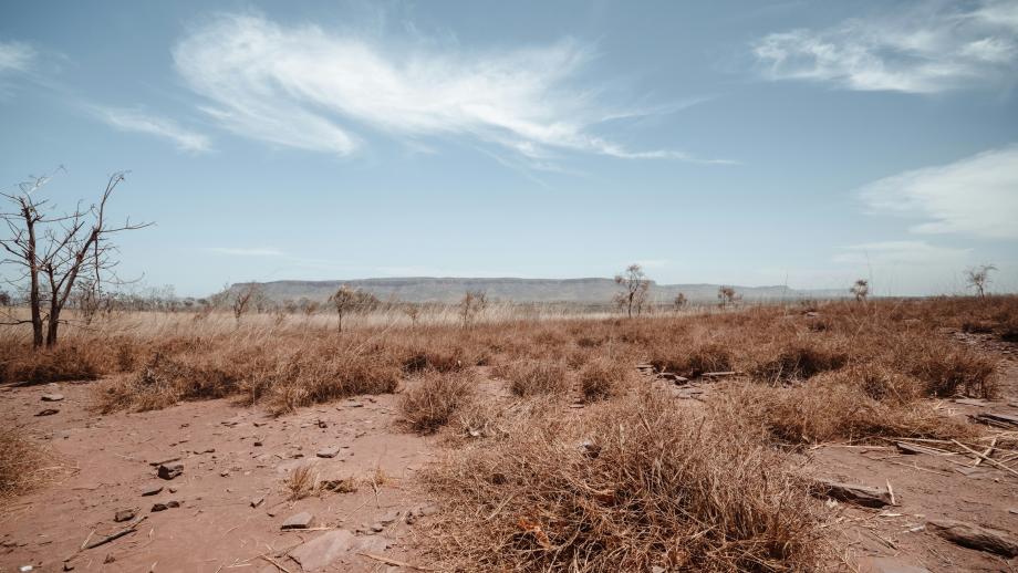 Shrub and dry vegetation in the Australian outback. There are mountains in the background.
