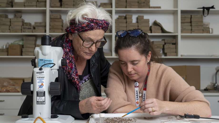 Professor Sue O’Connor (left) and Dr Shimona Kealy inspect samples unearthed on Timor Island