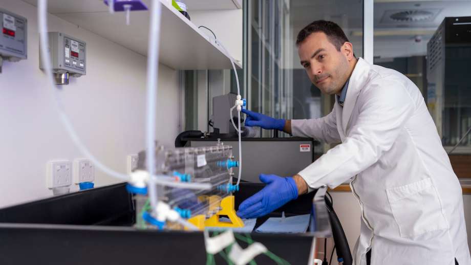 Photo of Dr Torres in the lab. He's wearing a white lab coat and blue gloves