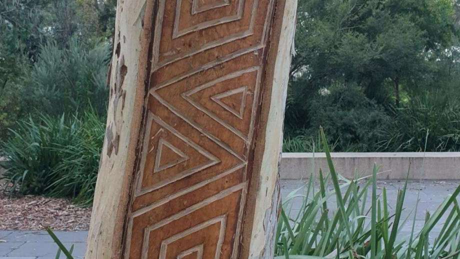 Indigenous tree carving