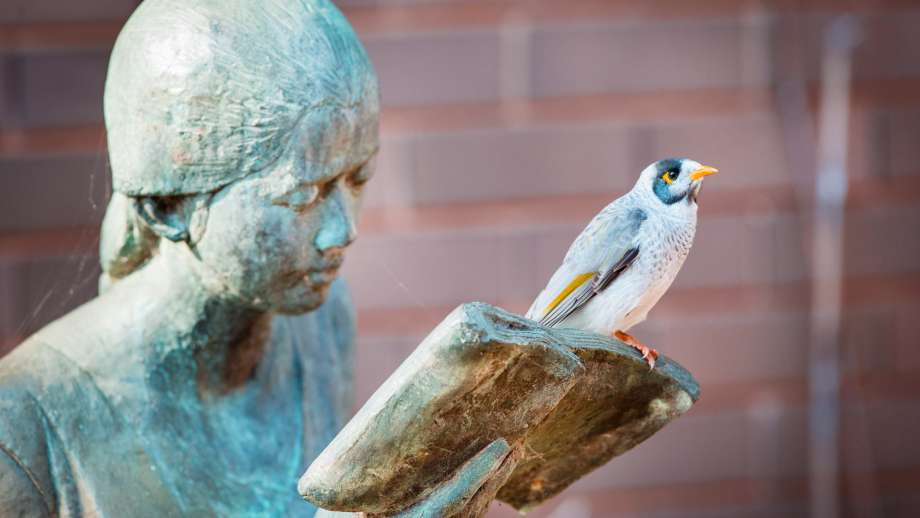 Bird sitting on a a sculpture of a young woman reading