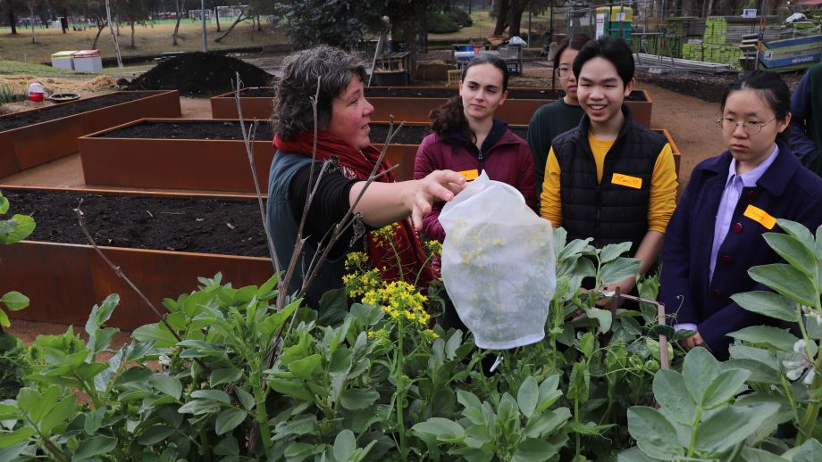 Five people in a garden