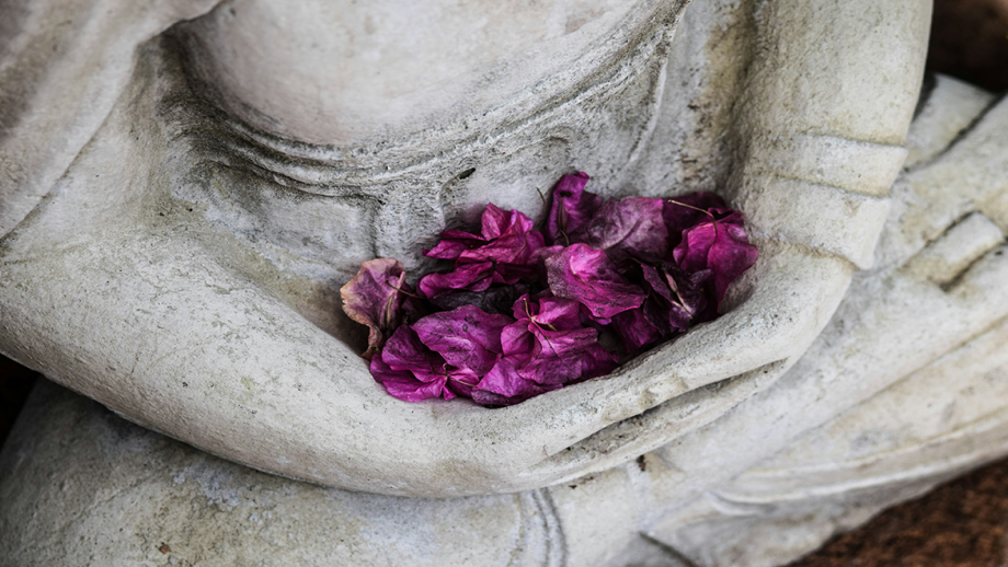 Image by Chris Ensey, Unsplash