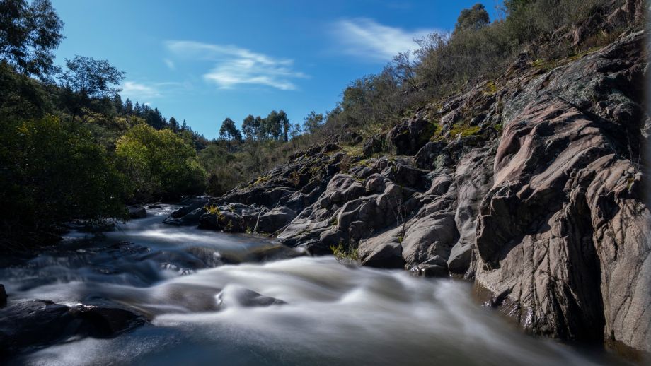 A creek with water flowing