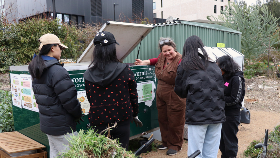 Worms against waste