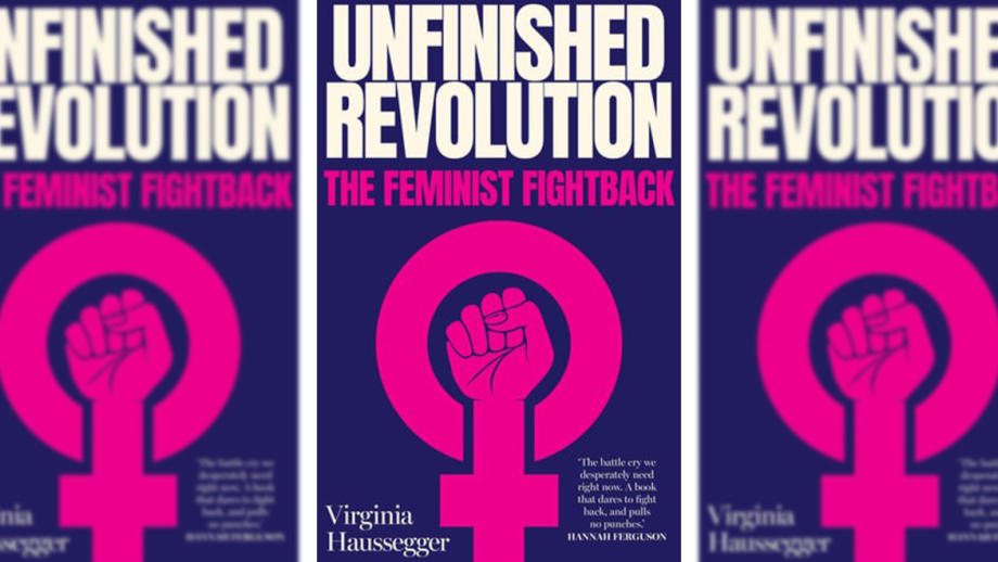Unfinished Revolution. The Feminist Fightback by Virginia Hausseger