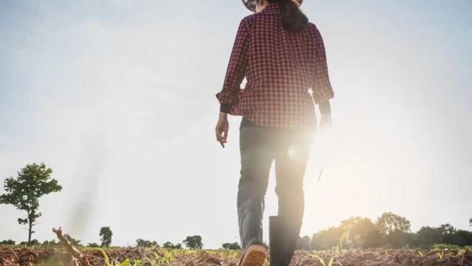 Woman walking in a field with the sun on the horizon.