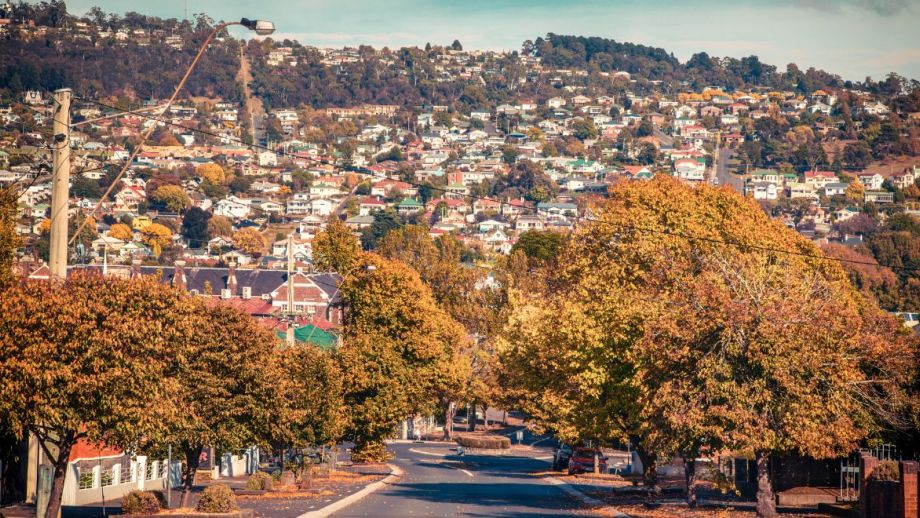 A tree-lined road leading to suburban houses on a hill.
