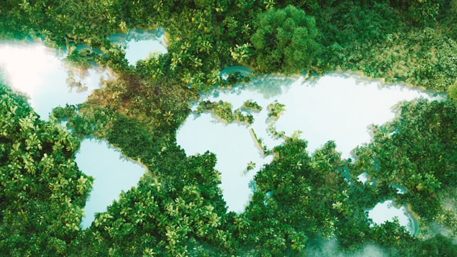 2025 McMichael Lecture and Award Announcement