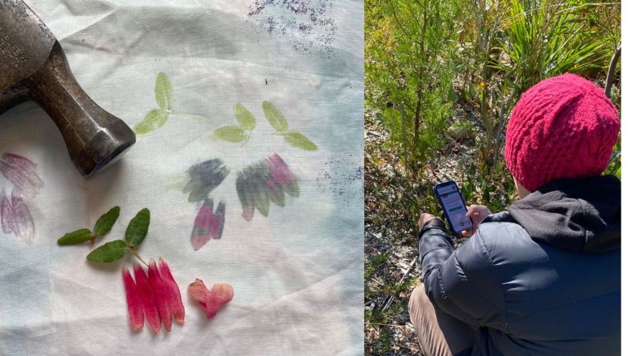 Image: Hapazone (Correa reflexa) and data collection.