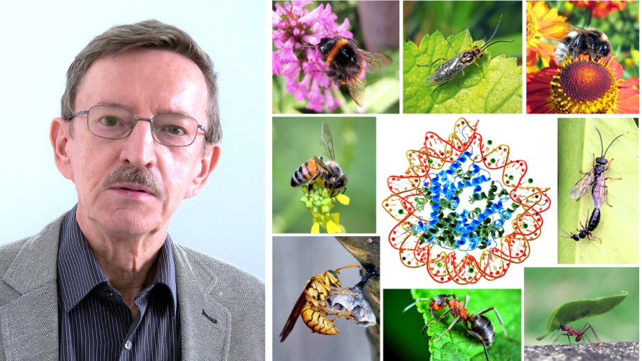 Emeritus Professor Ryszard Maleszka