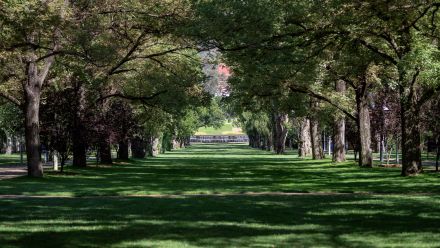 The Australian ýapp University (ANU) Acton Campus