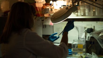 A behind the shoulder shot of an unidentified scientist working in a lab.