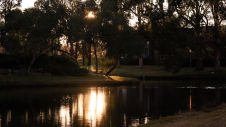 Lake on campus