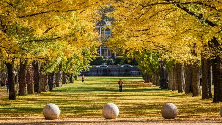 Image: Kambri, ANU campus, Acton