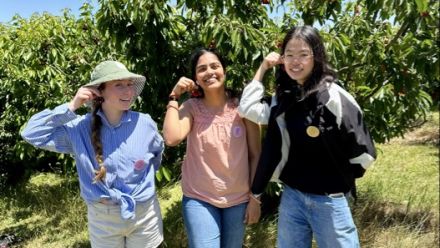 Kitchen Garden Cherry Farm 2025