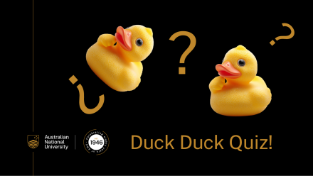 Duck Duck Quiz hero image