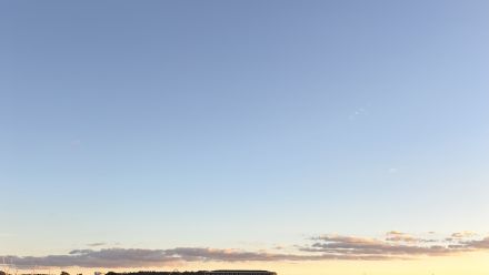 Picture of the Canberra lake