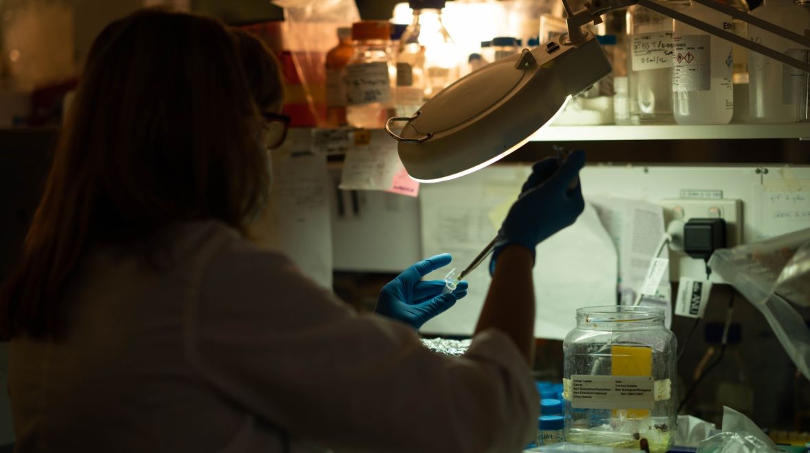 Top image: Eighty per cent of Aussies believe science communication is very important. Photo: Tracey Nearmy/ANU