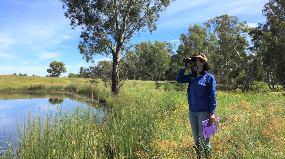 A researcher undertakes a bird survey in the field. Photo: Amber Croft/Sustainable Farms