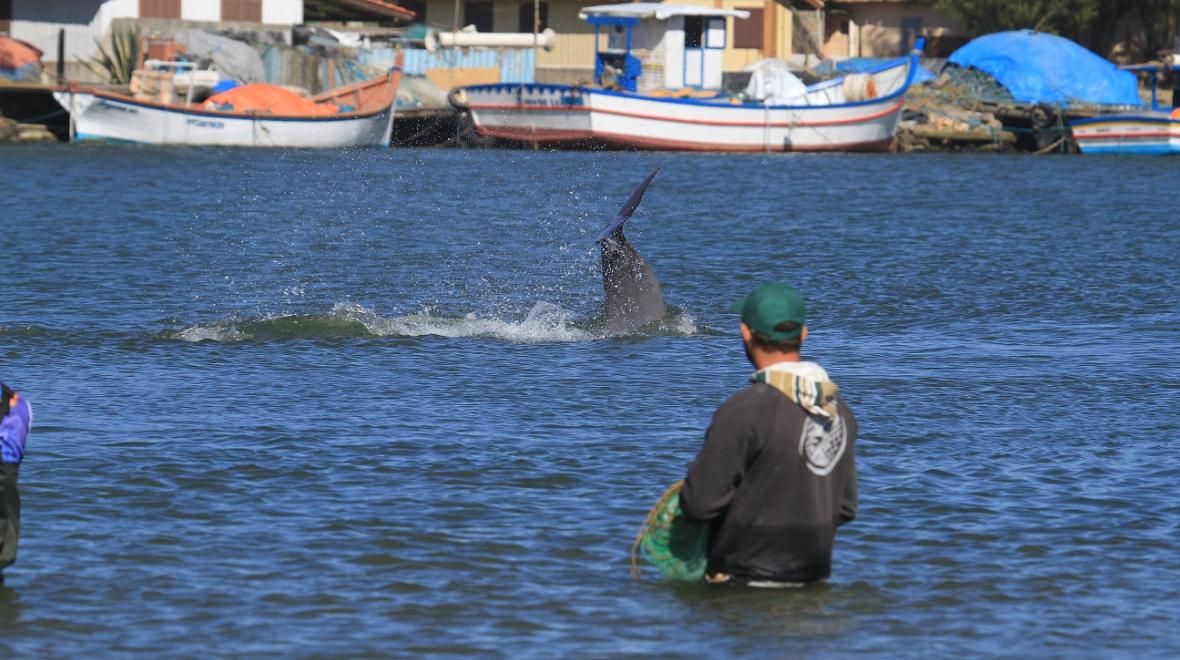 A fisher in Laguna, Brazil. Photo: Associate Professor Damien Farine