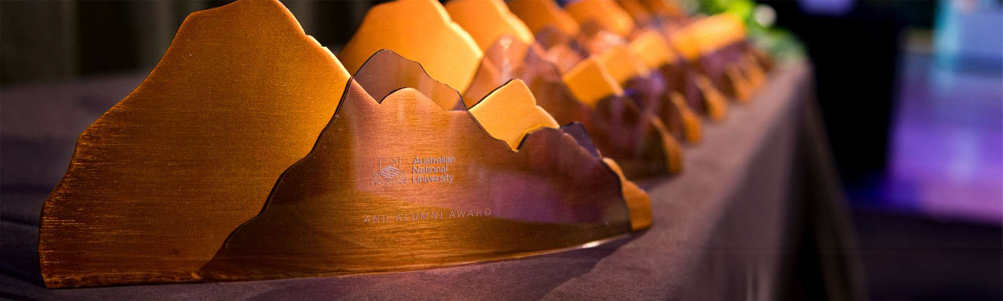 Recognise distinguished ANU Alumni-nominate now for 2025 ANU Alumni Awards