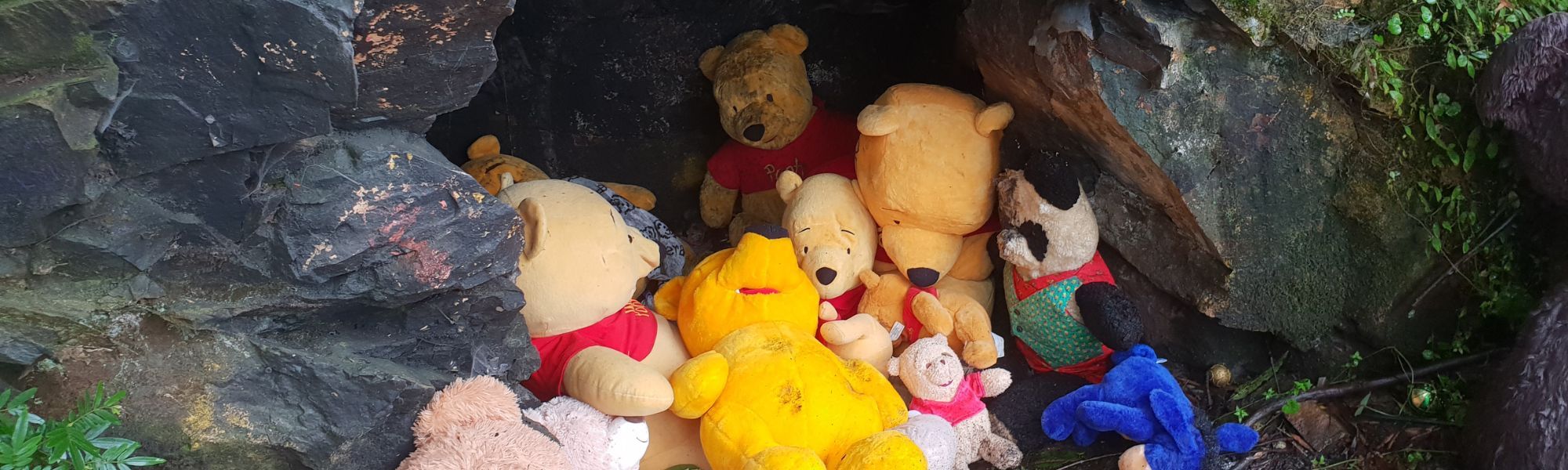 Pooh Bear toy
