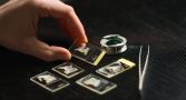 Samples of ancient boar teeth inside transparent cases