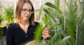 Dr Samantha McGaughey is looking at a plant. She is wearing glasses and a black top