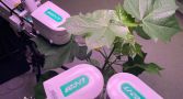 Photosynthesis testing equipment