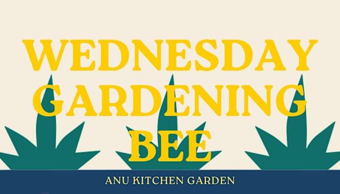 Wednesday Gardening Bees