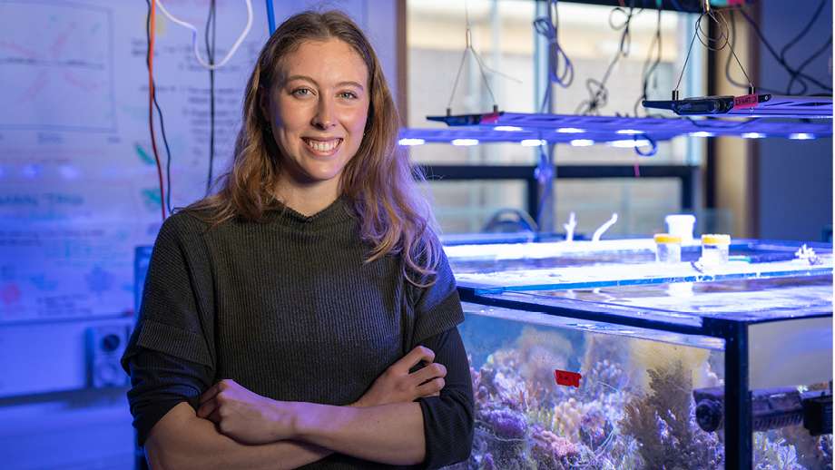 Image: Beth O’Sullivan tests her substrates and designs in the reef tank. Photo by Nic Vevers/ANU.