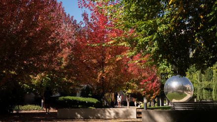 Autumn leaves turn yellow near the Unu sculpture at ANU in Canberra, ACT, Australia.