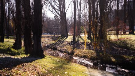 Winter frost on a cold morning at ANU