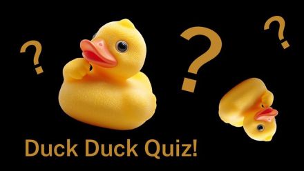 Duck Duck Quiz image