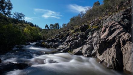 A creek with water flowing
