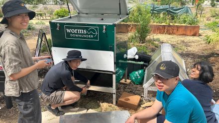 Worms against waste