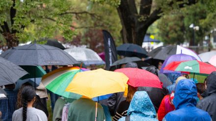 A crowd of people each holding different coloured umbrellas. None of their faces are visible.