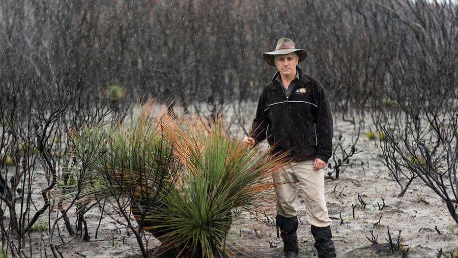 Image: Professor David Lindenmayer. Photo supplied.